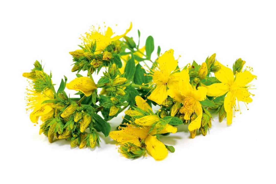 Nicode spreyinde St. John's Wort