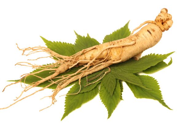 Nicode spreyinde ginseng kökü