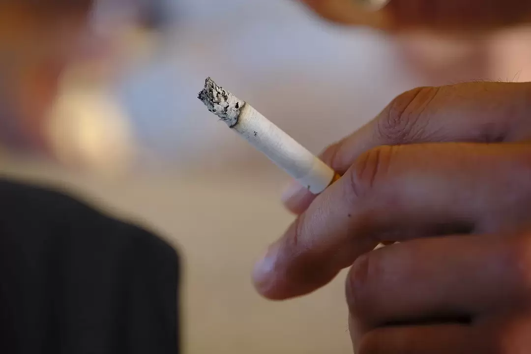 Zxcvbnmqwort kullanmadan önce çok sigara içtim